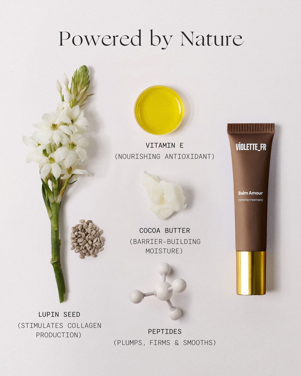 Balm Amour - Noisette