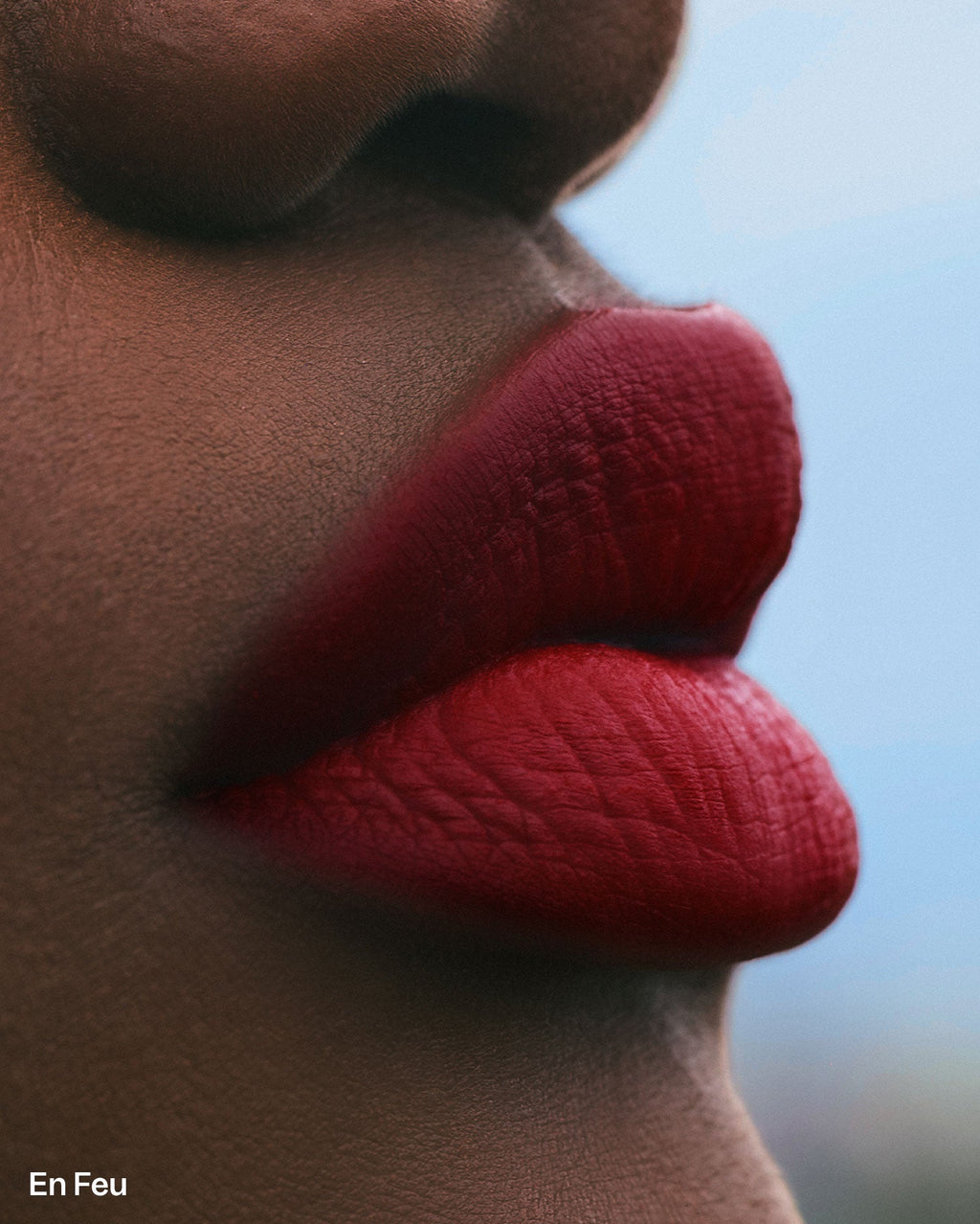 Plume Lip - En Feu