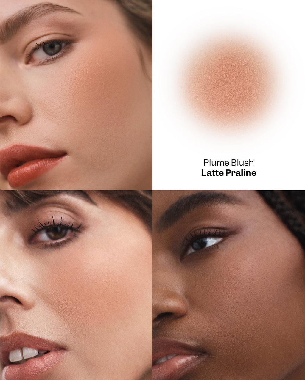 Plume Blush - Latte Praline