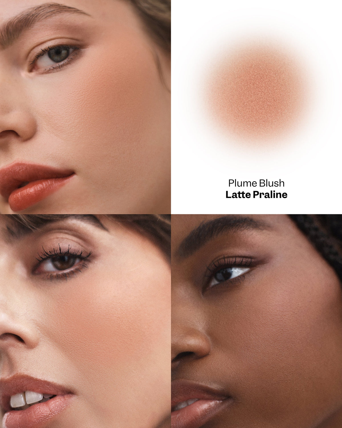 Plume Blush - Latte Praline