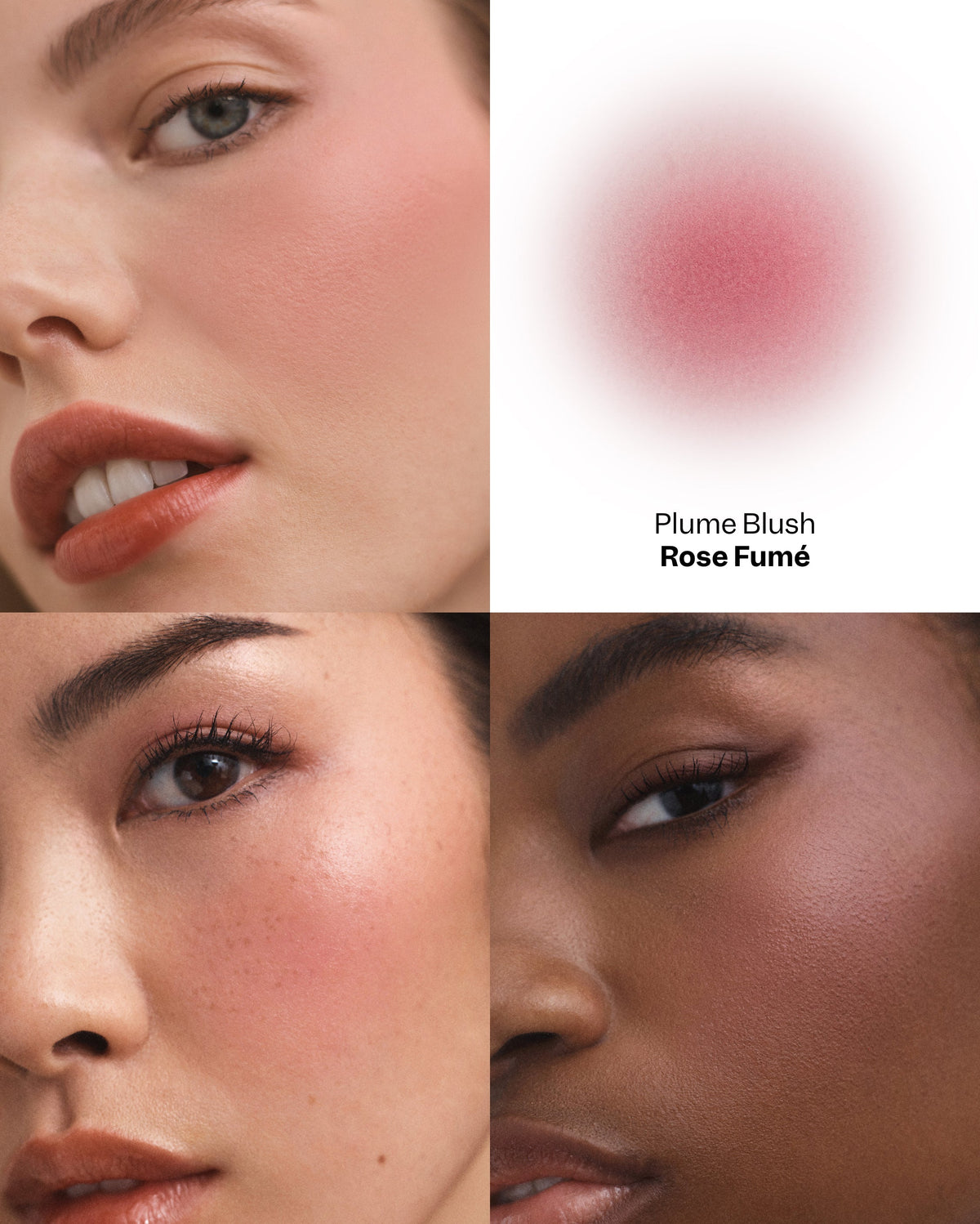 Plume Blush - Rose Fumé