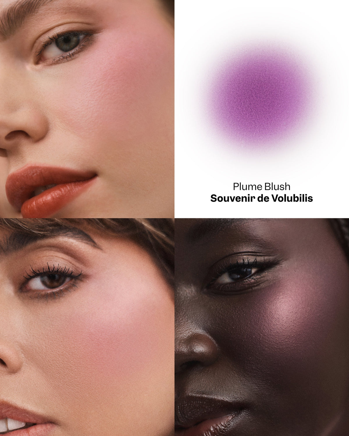 Plume Blush - Souvenir de Volubilis