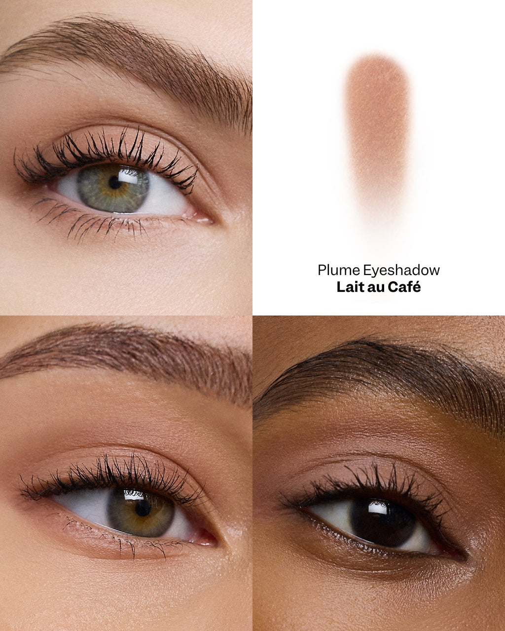 Plume Eyeshadow - Lait au Café